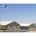 Shandong steel frame broiler layout poultry house prefabricated building for Philippines design